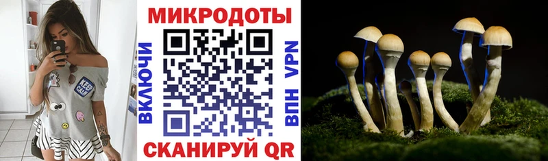 Галлюциногенные грибы мухоморы  цены   Алексеевка 